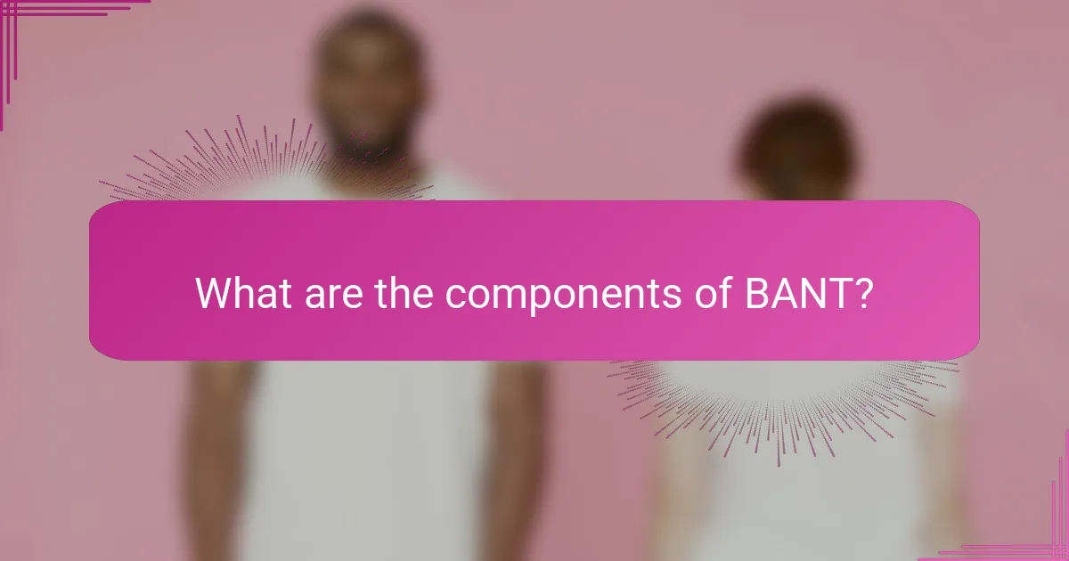 What are the components of BANT?