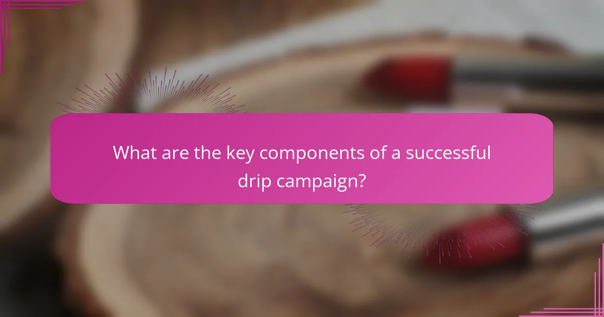 What are the key components of a successful drip campaign?